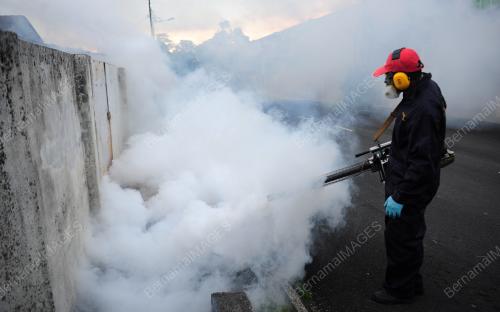 TINJAUAN SEMBURAN NYAMUK AEDES