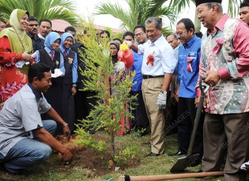SG01_07062012_TANAM_POKOK