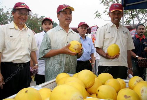 MUHYIDDIN