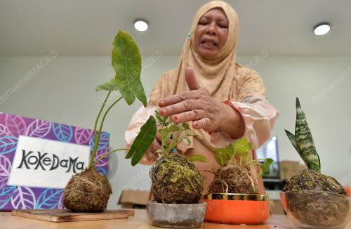 NORANI SAMSUDIN