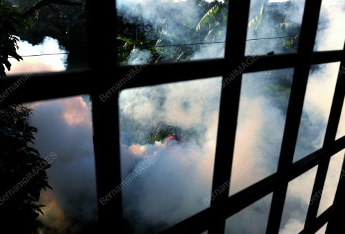 SG01_11052014_AEDES