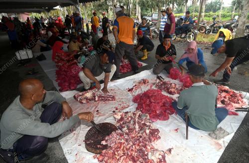 KORBAN PERDANA PARLIMEN TANJONG KARANG