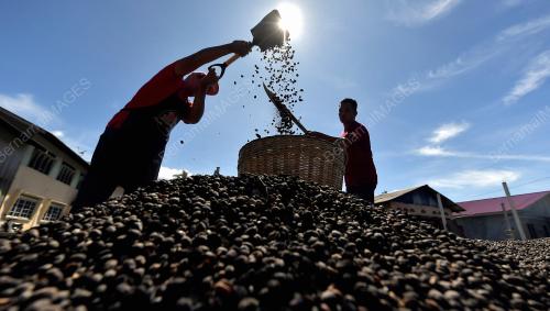 USAHAWAN SERBUK KOPI