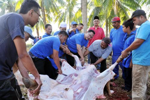 SG01_13092016_KORBAN