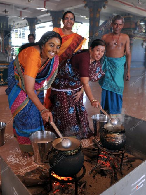 SG01_15012015_PONGGAL