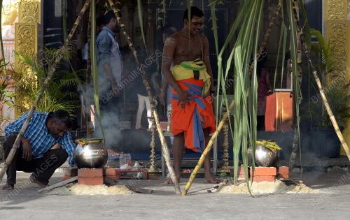 SG01_15012019_PONGAL