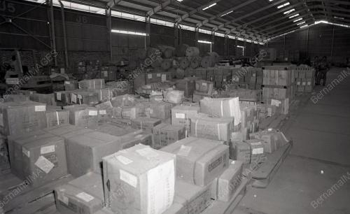 JUALAN LELONG