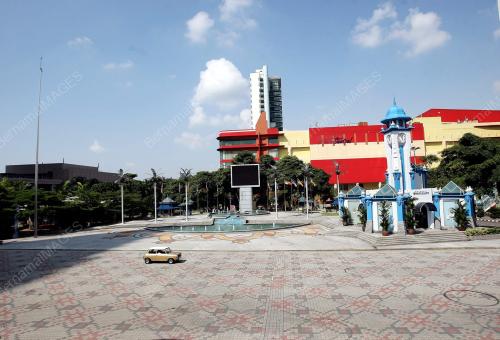 TAHUN BARU CINA