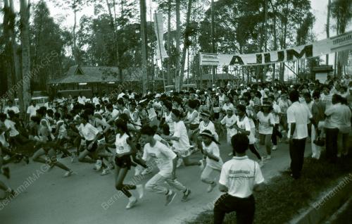 RIMBATHON DI BUKIT CERAKAH