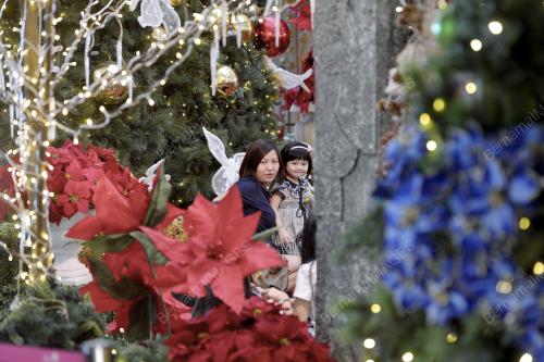 SG01_19122015_KRISMAS