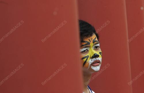 WWF 1000 TIGERS