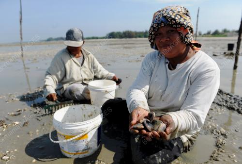 SG01_20032012_KEPAH