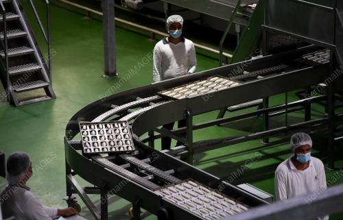 KILANG GARDENIA BAKERIES SDN BHD