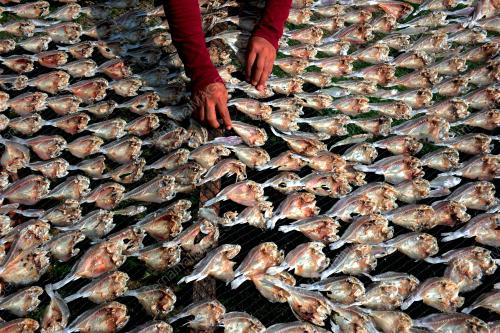 TINJAUAN PENGHASILAN IKAN MASIN DALAM PKP 2.0