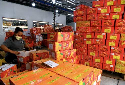PERSIAPAN TAHUN BAHARU CINA