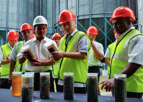 SG01_25042017_SAWIT_BN197001011197