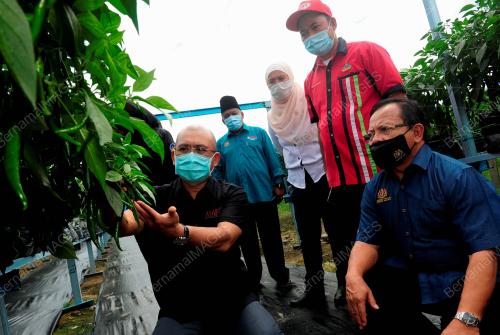 DATUK SERI DR RONALD KIANDEE