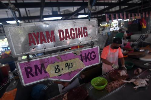 TINJAUAN BEKALAN AYAM MENTAH SHAH ALAM