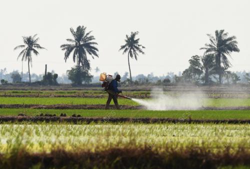 SG01_29042018_SAWAH