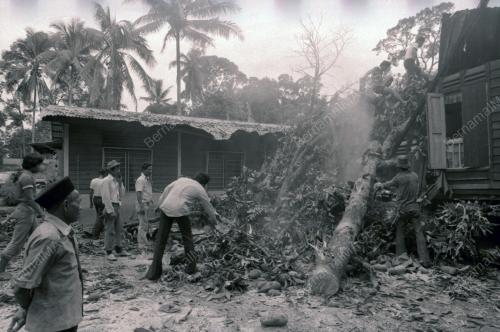 RUMAH DITIMPA POKOK DI KAMPUNG PAYA JARAS