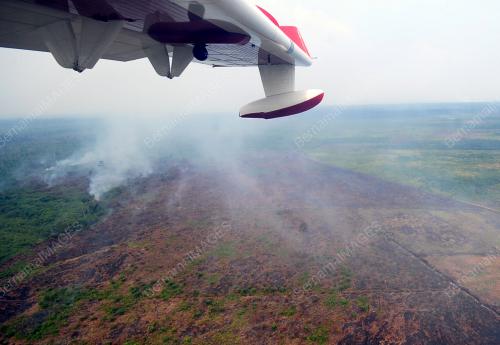 OPERASI PEMADAMAN KEBAKARAN HUTAN SIMPAN KUALA LANGAT SELATAN