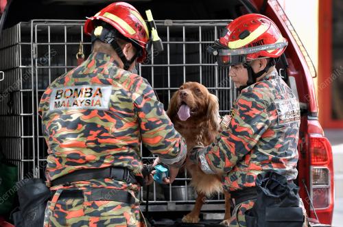 UNIT ANJING PENGESAN K9 JBPM