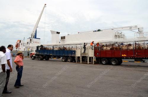 SG02_03082013_LEMBU