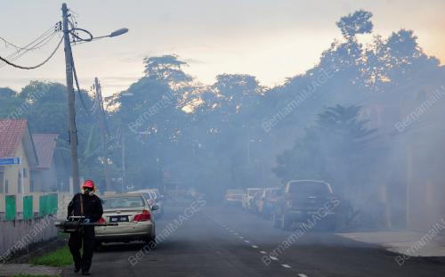 TINJAUAN SEMBURAN NYAMUK AEDES