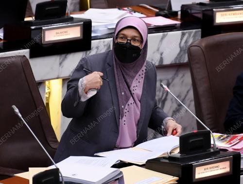 DR SITI MARIAH MAHMUD