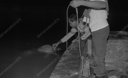 SG02_10081984_BENCANA