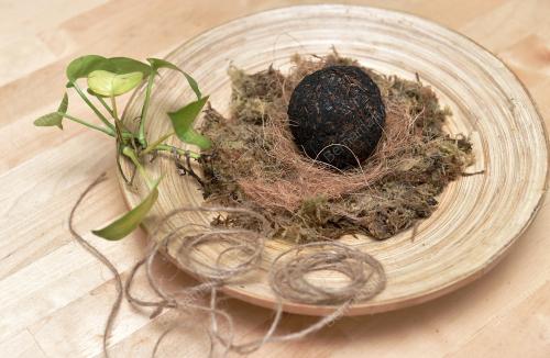 HIASAN POKOK KOKEDAMA