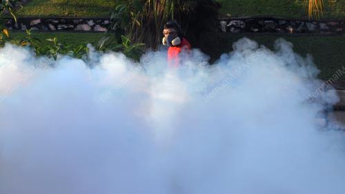 SG02_11052014_AEDES