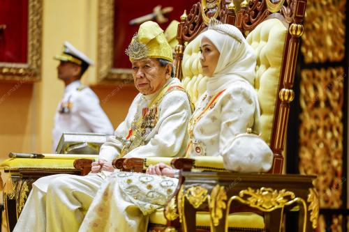 SULTAN SHARAFUDDIN IDRIS SHAH