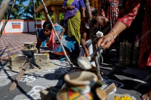 PESTA PONGGAL