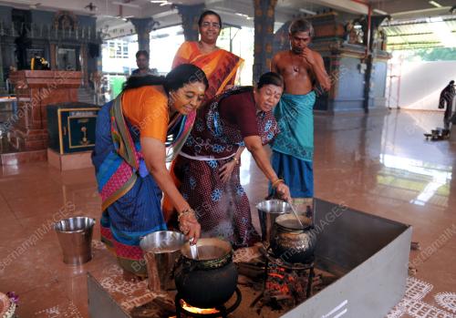 SG02_15012015_PONGGAL