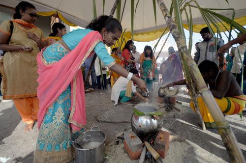 SG02_15012019_PONGAL