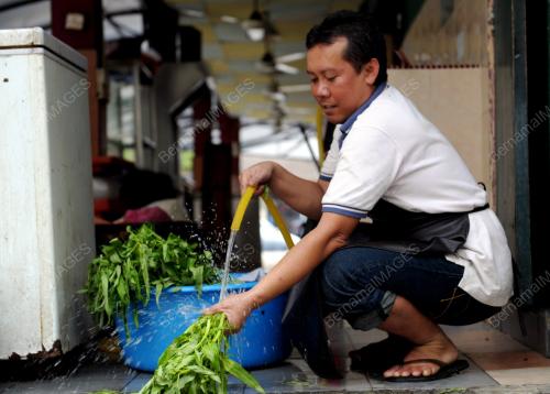 SG02_15032012_BASUH_SAYUR