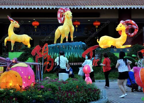 SG02_18022015_CNY