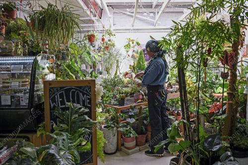 TERRARIUM THERAPY