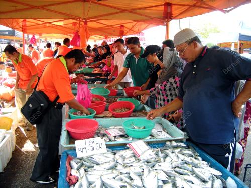 PROMOSI JUALAN IKAN LAUT TERUS DARI JETI