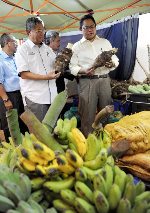 DATUK SERI NOH OMAR