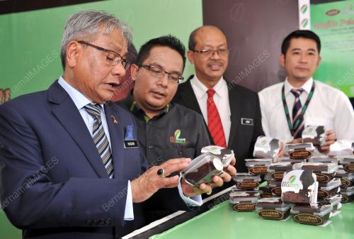 SG02_20052015_ANIS_FOOD