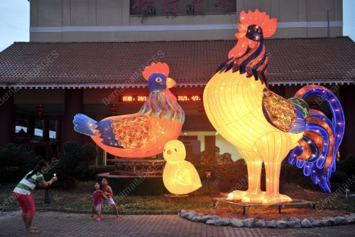 SG02_21012017_CNY