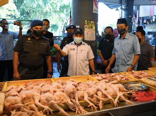 PEMANTAUAN HARGA AYAM OLEH KPDNHEP