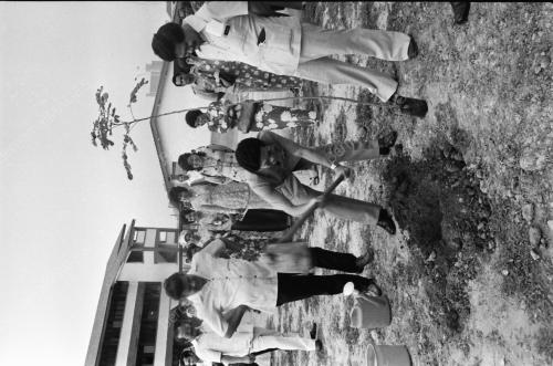 TANAM POKOK