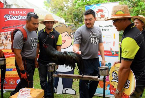 SG02_23092017_AGRO_RUN