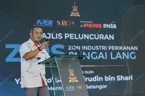 DATUK SERI AMIRUDIN SHARI