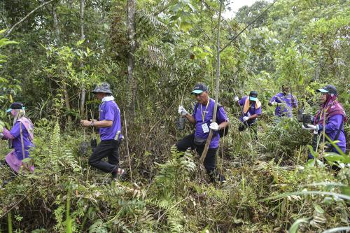 PENANAMAN HUTAN PAYA GAMBUT