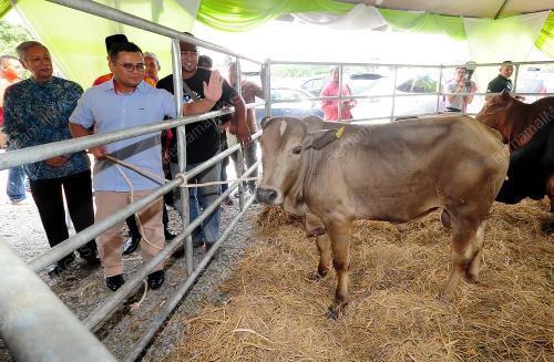 SG02_28072019_LEMBU_BN201907235967
