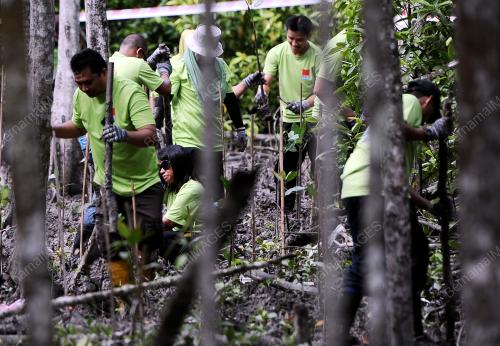 SG02_28122013_TANAM_POKOK